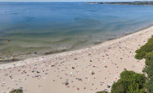 aerial view of a  sandy seaside in summer