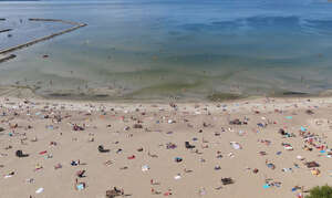 aerial view of a seaside in summertime