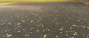 paved square covered with fallen leaves