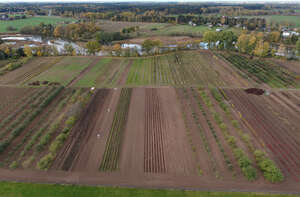 aerial view of agricultural landscape