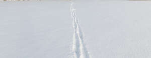 fresh snow with small footpath