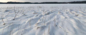 hay field covered with thick snow