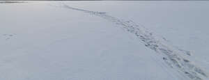 pathway through a field covered with fresh snow