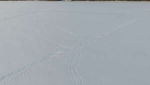 aerial view of a snow covered lake with footprints