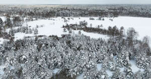 winter landscape with forests and fields seen from above