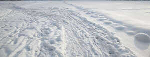 footpath in snow