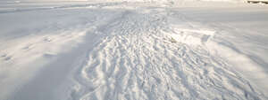 footpath in winter with many footprints