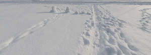 field of snow with footprints