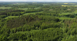 aerial view of forests and meadows