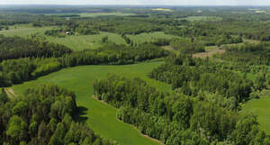 aerial view of groves and fields
