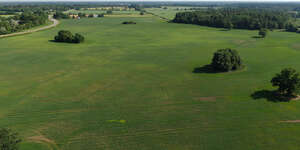 aerial view of green fields in countryside 