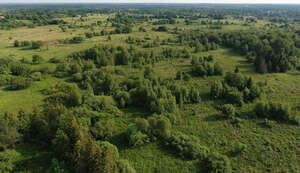 aerial view of fields and shrubberies