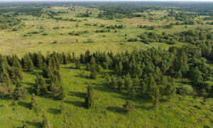 aerial view of a landscape in countryside