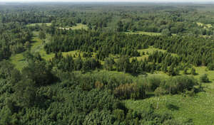aerial view of forests and grasslands