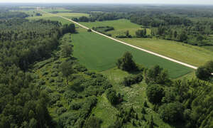 aerial view of a road in countryside