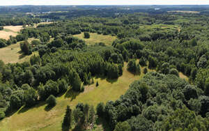 aerial view of forests and fields