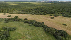 aerial view of a landscape with forests and fields