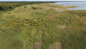 aerial view of a lake shore