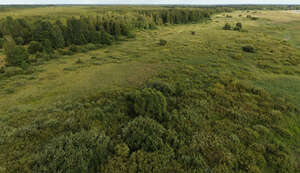 aerial view of a landscape with forests and meadows