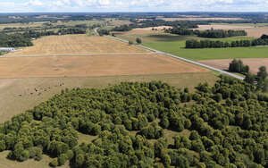 aerial view of agricultural fields and trees