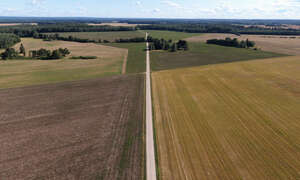 aerial view of a road between fields in late summer