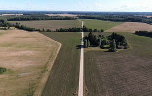 birdeye view of a road between fields