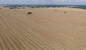 aerial view of a vast field in late summer