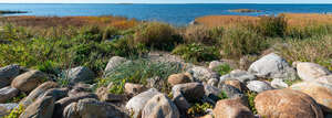 rocky seaside