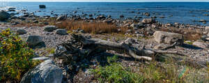 seaside with rocks