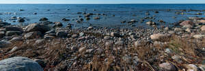 seashore with rocks