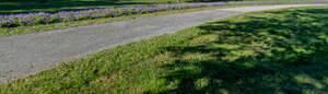 road lined with flowerbeds