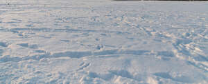 snowy ground with different tracks