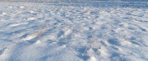 grass field covered with thick snow