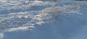 grass field with snow and shadows