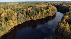 aerial view of a river running between forest in autumn