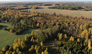 aerial view of a countriyside with forests and fields in autumn