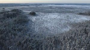 aerial view of a landscape with forest in winter