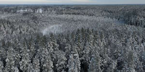 aerial view of a snowy forest