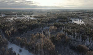 aerial view of a winter landscape