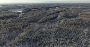 aerial view of winter landscape with forests