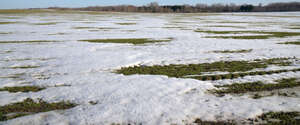 large field of grass with patches of snow