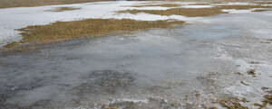 field of grass with partches of snow and ice