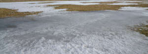 field of grass with snow and ice patches