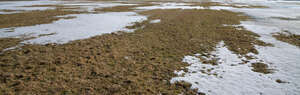 field of grass with snow patches