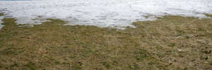 field of grass half covered in snow