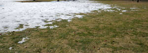 grass field partially covered in snow