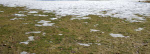grass partially covered with snow
