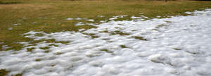 lawn in early spring partially covered with snow