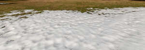 lawn in early spring with melting snow