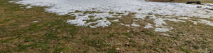 grass field with patches of melting snow